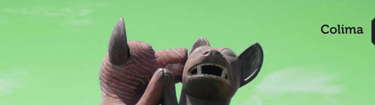 Contacto Colima Paqueteria