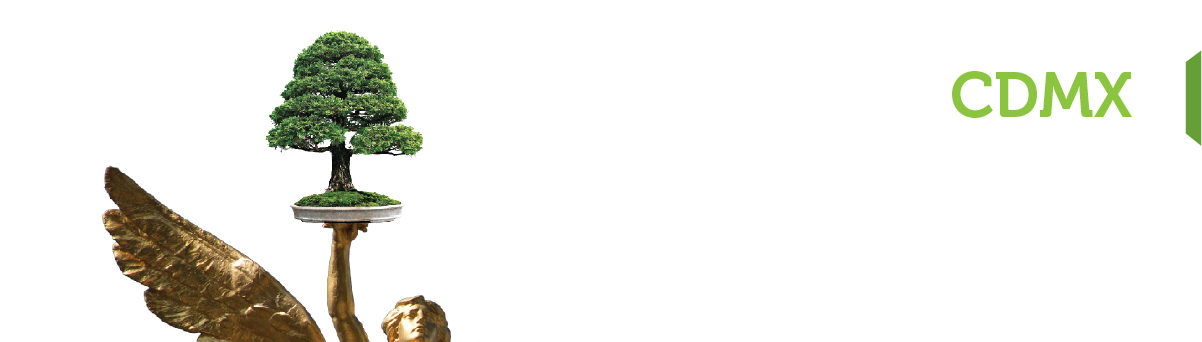 Contacto Distrito Federal Paqueteria