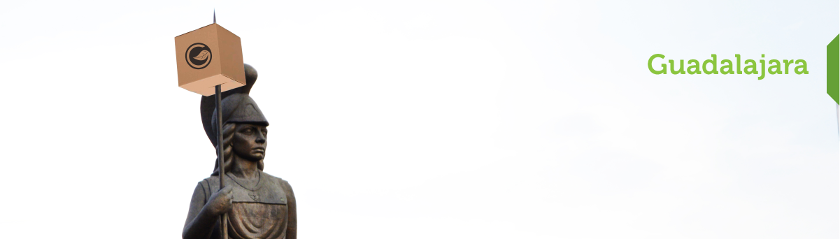 Contacto Guadalajara Paqueteria