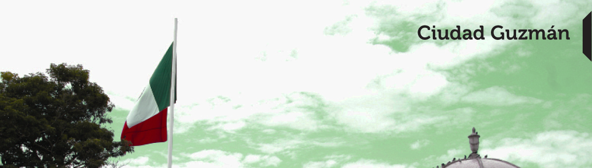 Contacto Ciudad Guzmán Paqueteria