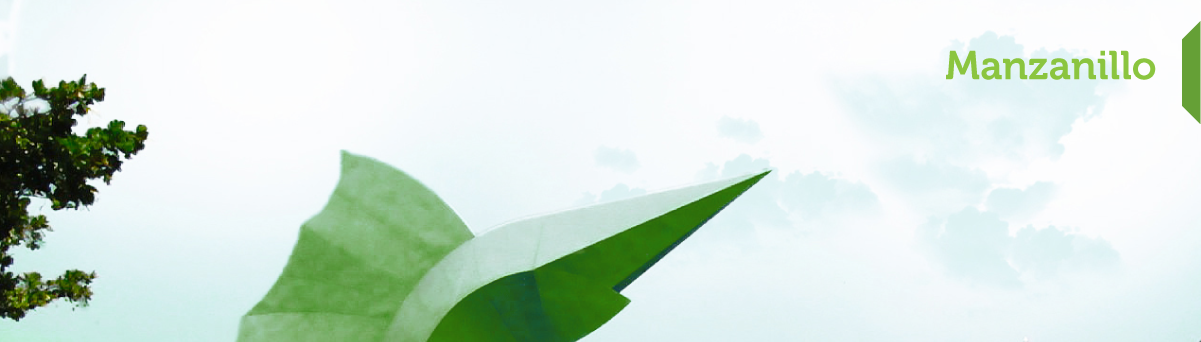 Contacto Manzanillo Paqueteria